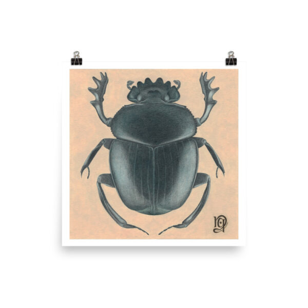 Scarab