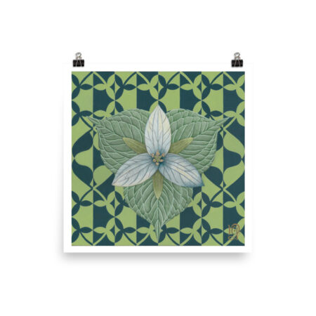 Native Plants: Trillium